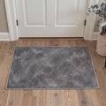 GENIMO 2'x3' Area Rug for Entryway, Machine Washable Non Slip Low Pile Indoor Door Mat for Front Door Kitchen Bathroom, Clean Abstract, VELVETDUSK