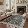 GENIMO 5'x7' Area Rug for Living Room, Washable Non Slip Soft Persian Rug for Bedroom Dining Room Home Office, Slate Grey